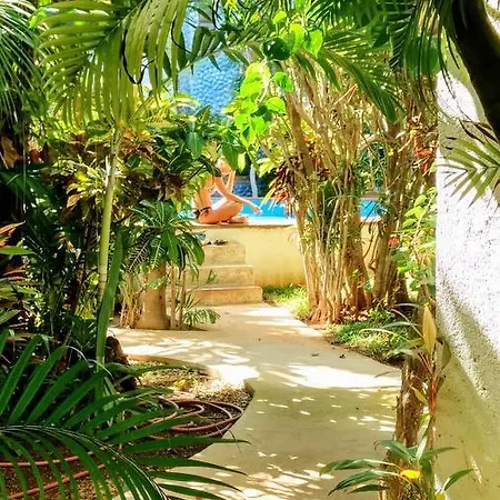 Maya Vacanze Playa Alegria Playa del Carmen Exterior photo